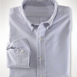 Blue & White Striped Cotton Oxford Shirt